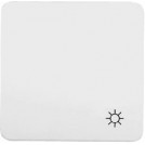 Intrerupator cu revenire pt iluminat